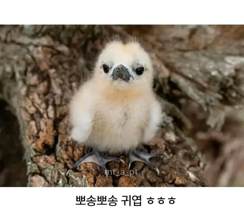 e_s2201fb007_6690f8ba96cdf5bf0767c7403899581b24165704.jpg?SIZE=800x713?WEBP