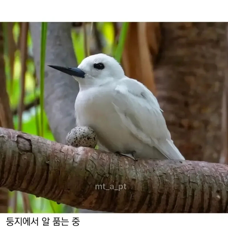 e_s2201fb004_34cb83afa86c0ae124a4de21b792d47c31dcebee.jpg?SIZE=800x834?WEBP
