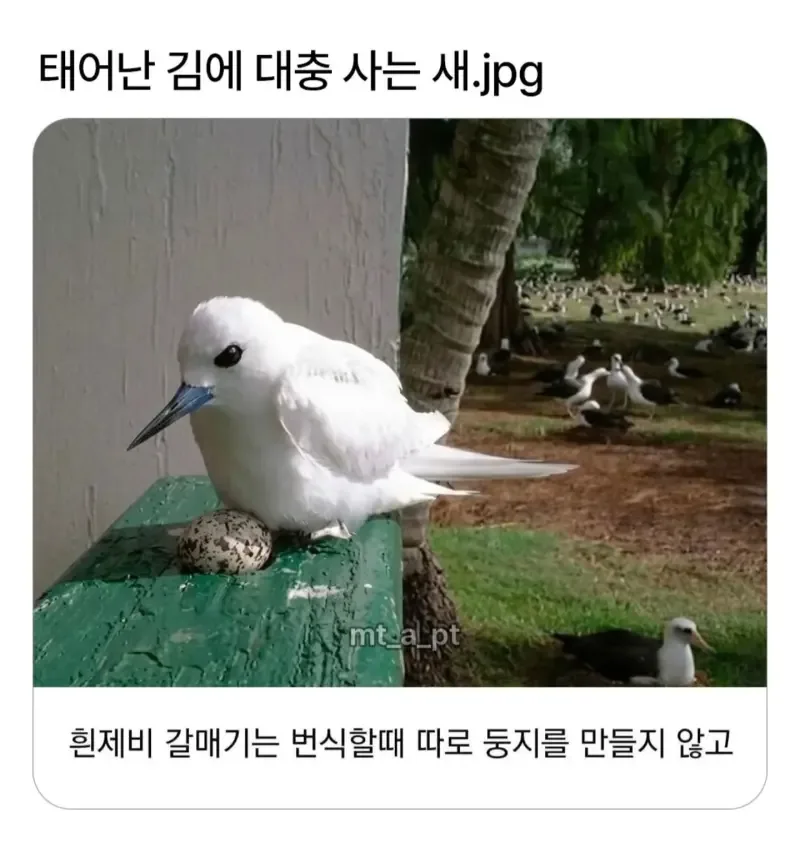 e_s2201fb002_51df030c675876894714cda6220a604501da7ee0.jpg?SIZE=800x842?WEBP
