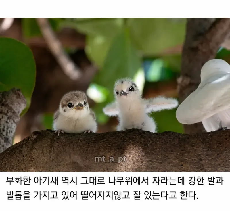 e_s2201fb005_616ca301b2a2e9763bb608ee99d401aa8b91f7bd.png?SIZE=800x734?WEBP