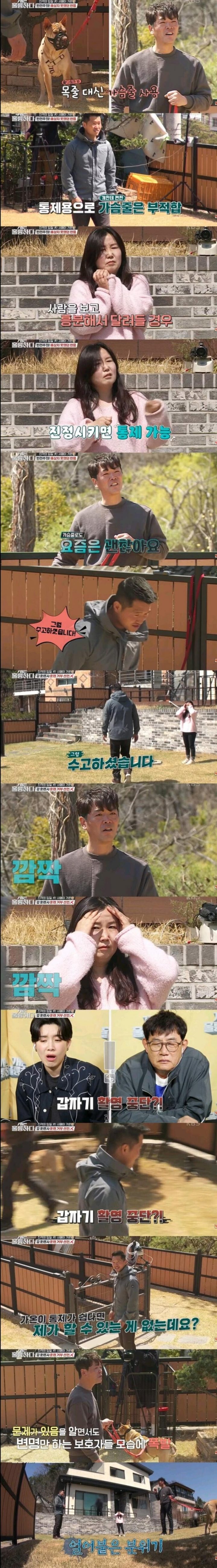 개물림 사고 대부분의 원인.jpg 개물림 사고 대부분의 원인.jpg 개물림 사고 대부분의 원인.jpg