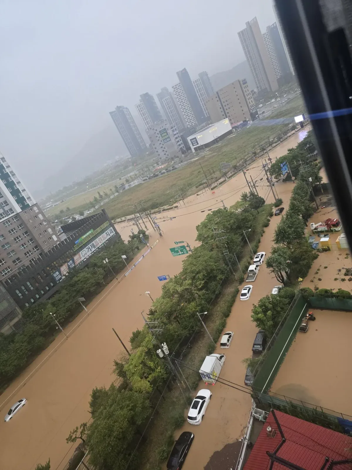 20260817_062652.jpg 거제 현재 상황.jpg