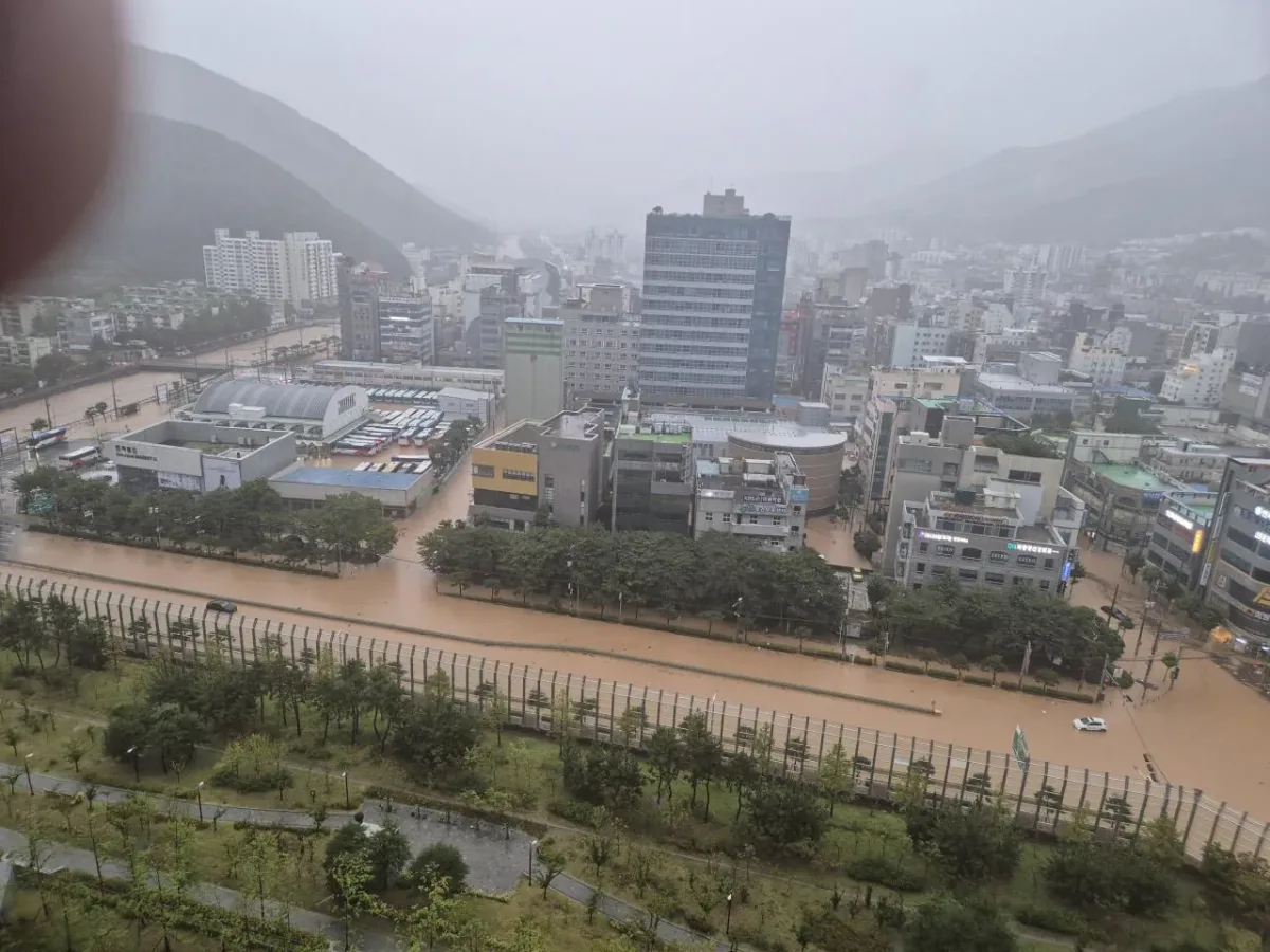 1000008840.jpg 거제 현재 상황.jpg