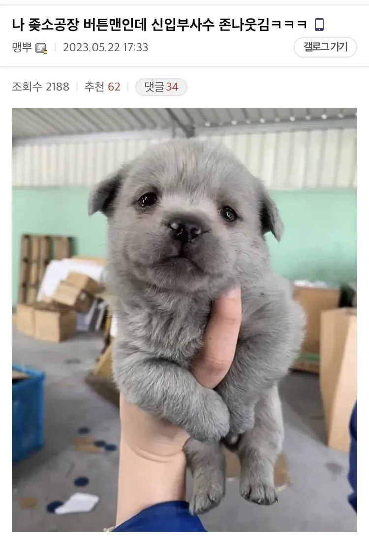 image.png 중소기업 생산직 S급 부사수 ㄷㄷ.jpg
