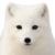 3718687598_nHZcmgPI_1ba1e4a3ddc9b9ce73f6c34b68427c3830399c66.png